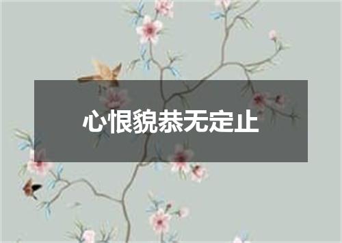 心恨貌恭无定止