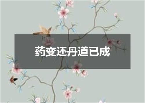 药变还丹道已成