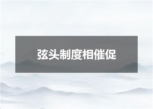 弦头制度相催促