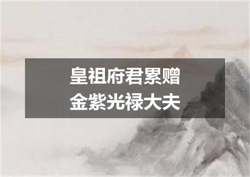 皇祖府君累赠金紫光禄大夫