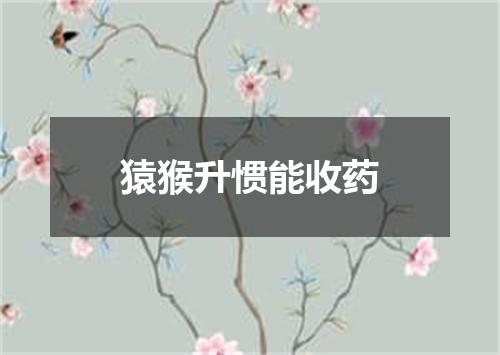 猿猴升惯能收药