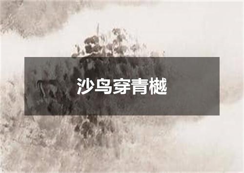 沙鸟穿青樾
