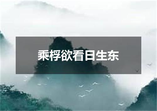 乘桴欲看日生东