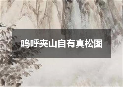 呜呼夹山自有真松图