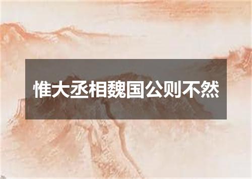 惟大丞相魏国公则不然
