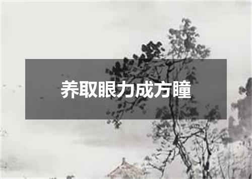养取眼力成方瞳
