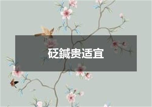 砭鍼贵适宜