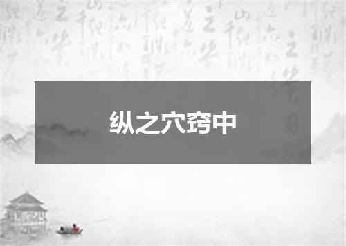 纵之穴窍中