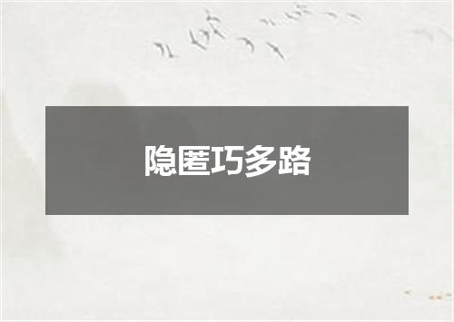 隐匿巧多路