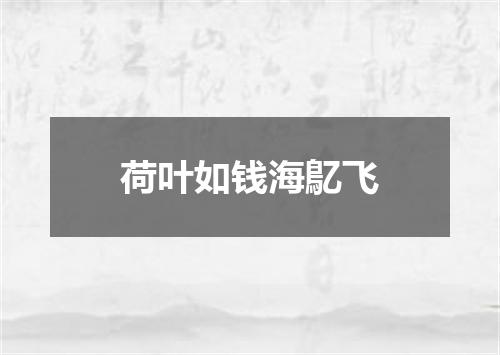 荷叶如钱海鳦飞