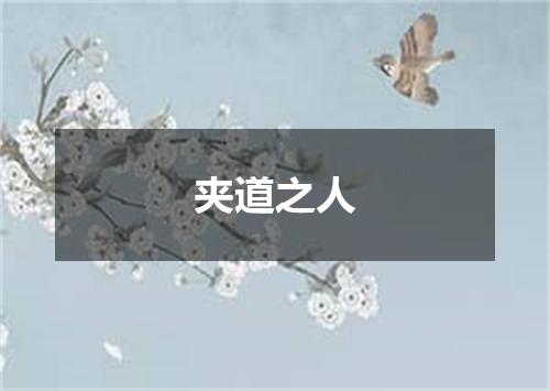 夹道之人
