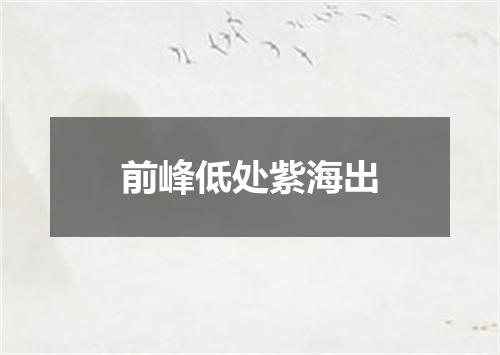 前峰低处紫海出