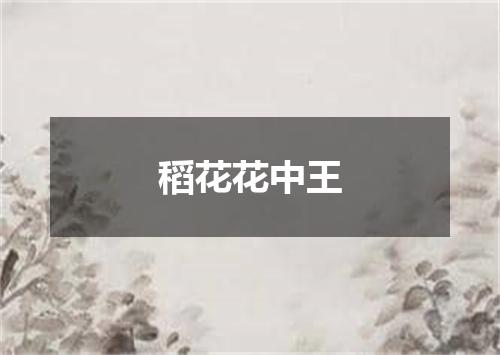 稻花花中王