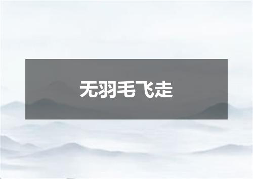 无羽毛飞走