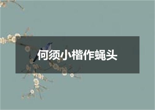 何须小楷作蝇头