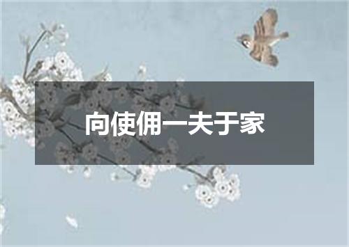 向使佣一夫于家