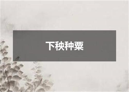 下秧种粟