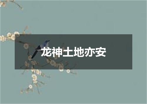 龙神土地亦安