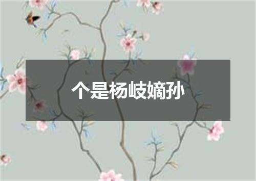 个是杨岐嫡孙