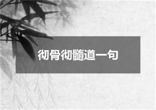 彻骨彻髓道一句