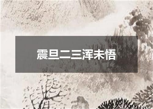 震旦二三浑未悟