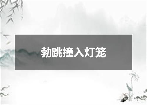 勃跳撞入灯笼