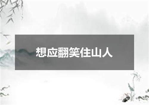 想应翻笑住山人