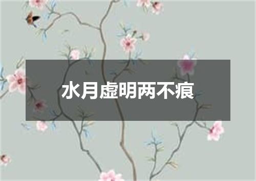 水月虚明两不痕