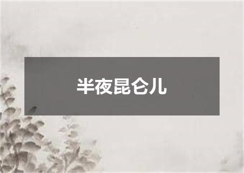 半夜昆仑儿