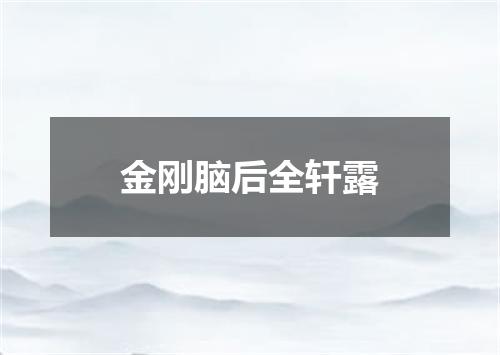 金刚脑后全轩露