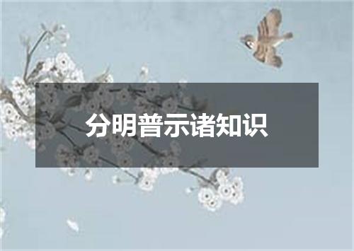 分明普示诸知识