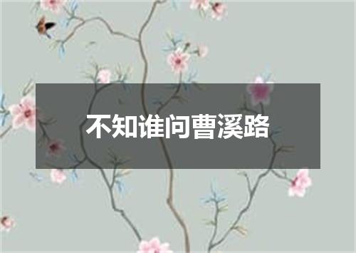 不知谁问曹溪路