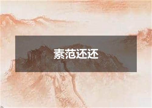 素范还还