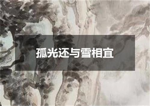 孤光还与雪相宜
