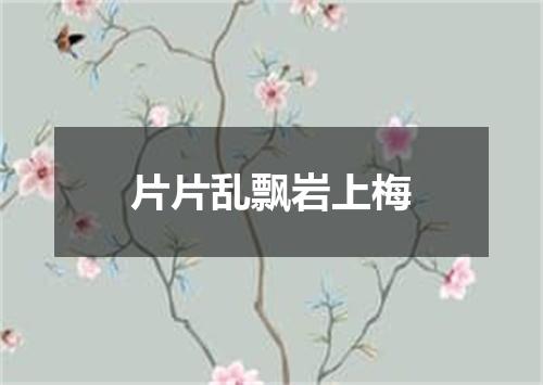 片片乱飘岩上梅