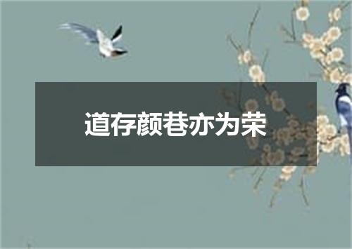 道存颜巷亦为荣