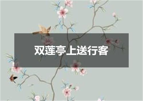 双莲亭上送行客