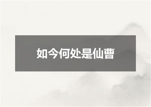 如今何处是仙曹