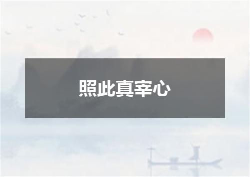 照此真宰心