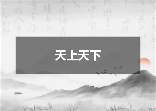 天上天下