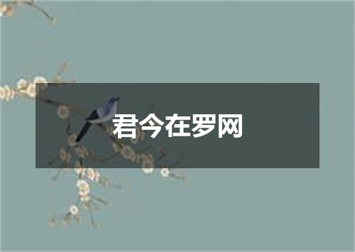 君今在罗网