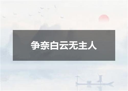 争奈白云无主人