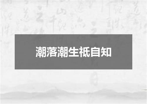 潮落潮生祗自知