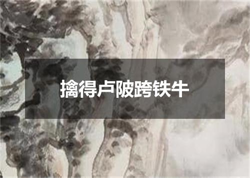 擒得卢陂跨铁牛