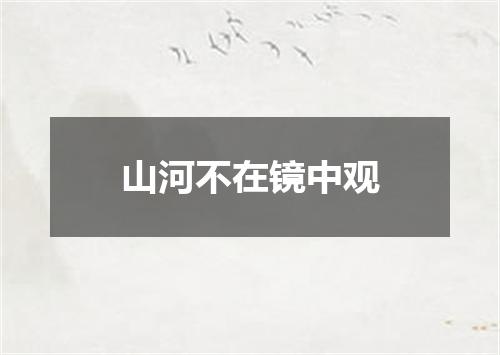 山河不在镜中观