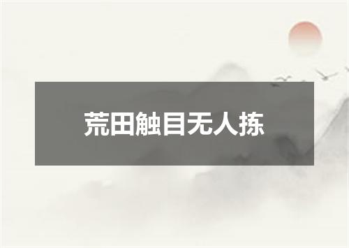 荒田触目无人拣