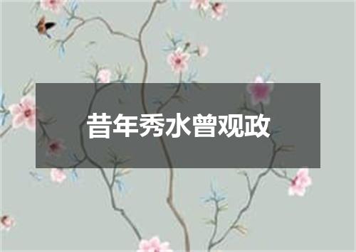 昔年秀水曾观政