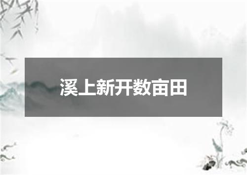 溪上新开数亩田