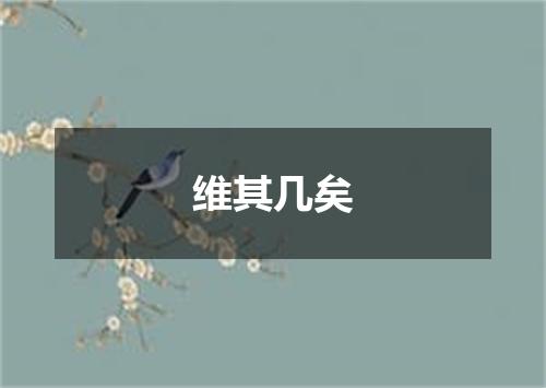 维其几矣