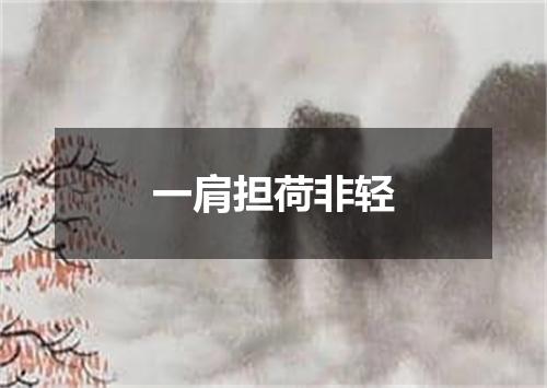 一肩担荷非轻